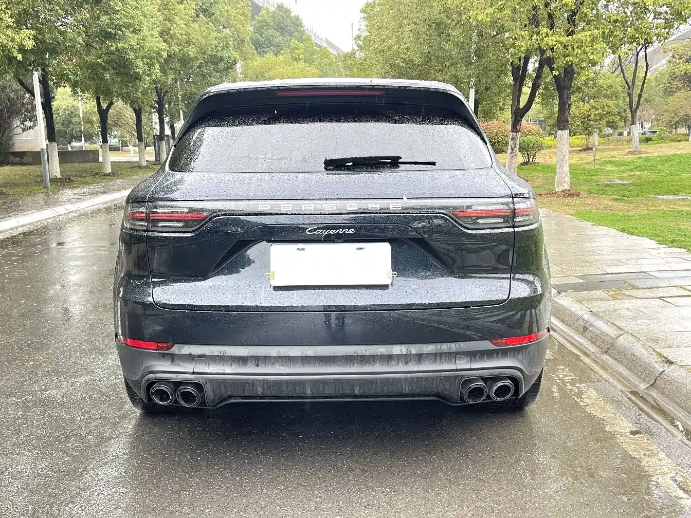 Porsche Cayenne 2023 Cayenne 3.0T Platinum Edition фото 8