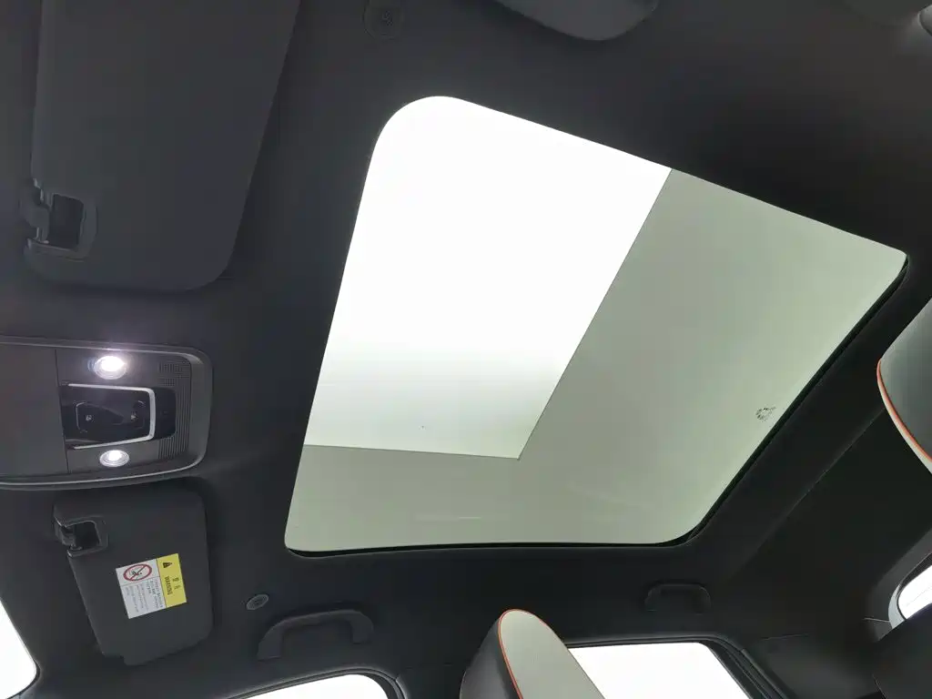 BYD Dolphin, миниатюра 14