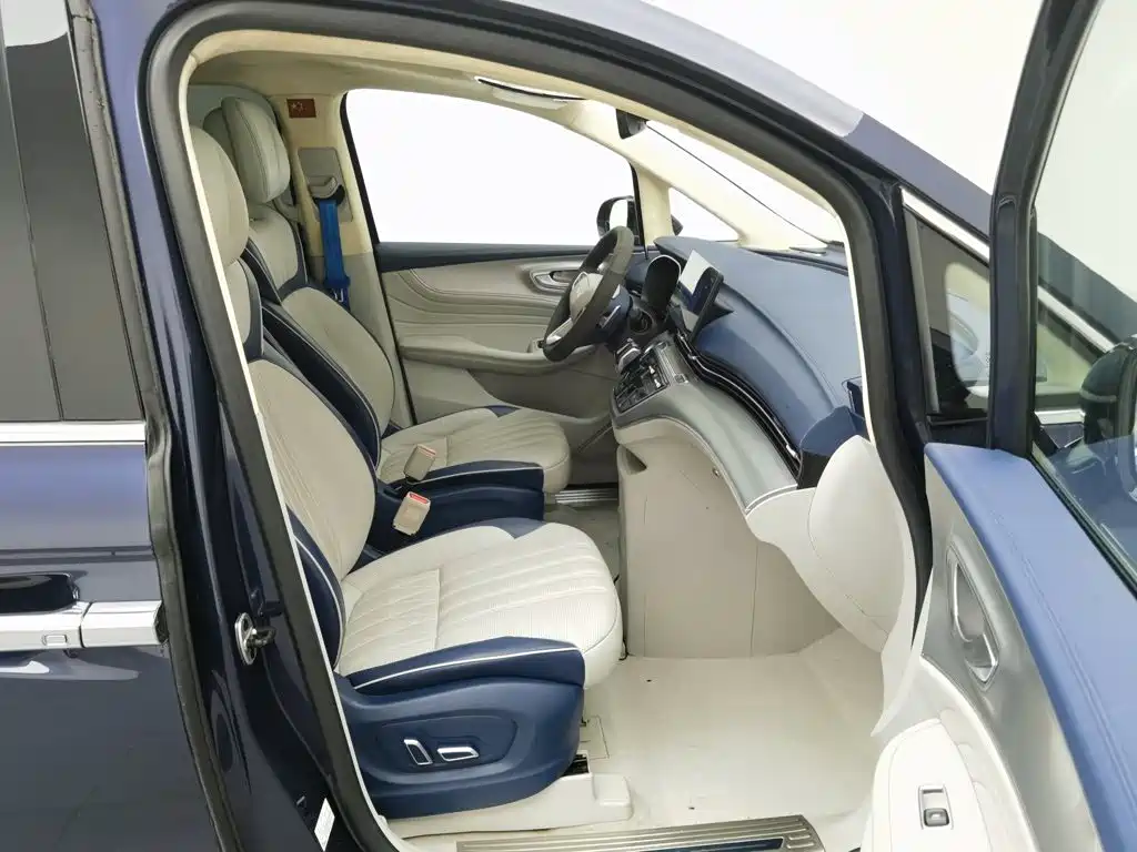 Roewe iMAX8 2020 2021 400TGI Supreme Series Honor
