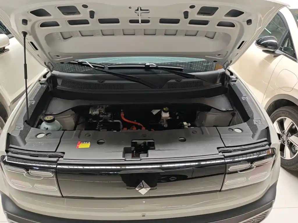 Baojun Yueye Plus 2025 2026 301km Flagship