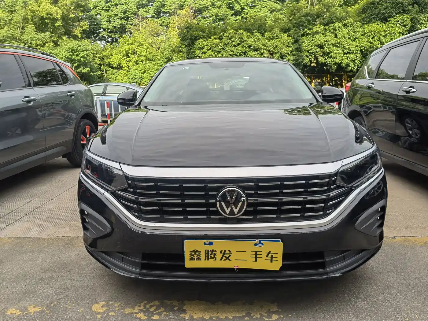 Volkswagen Passat 2024 280TSI Elite Edition фото 2
