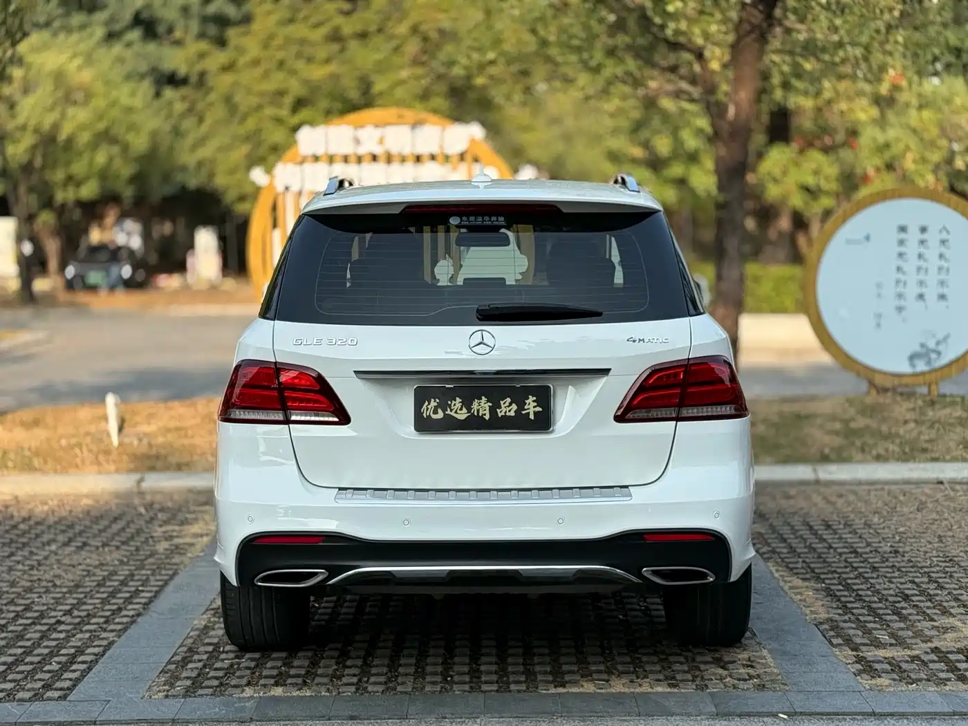 Mercedes-Benz GLE 2017 GLE 320 4MATIC Dynamic фото 22