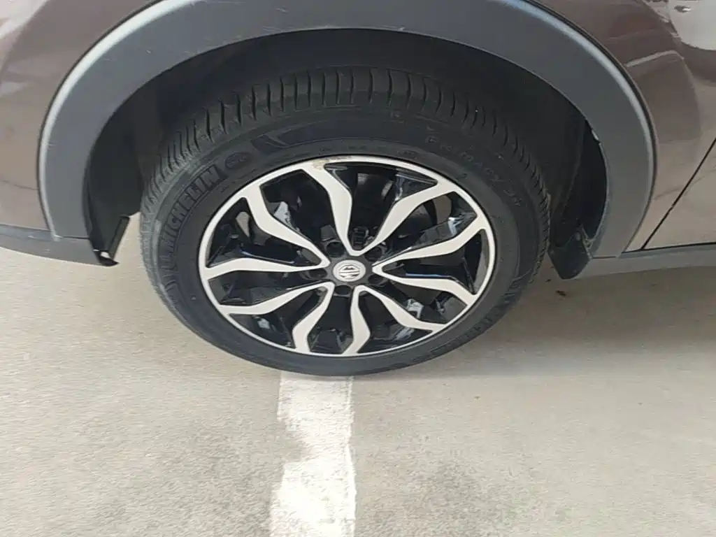 Фото 23 - MG Roewe RX5