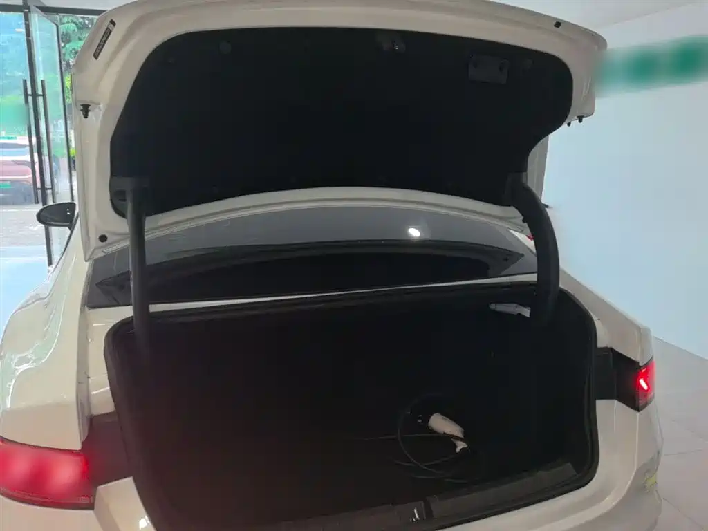 BYD Qin PLUS 2021 EV 400KM Luxury Model фото 19