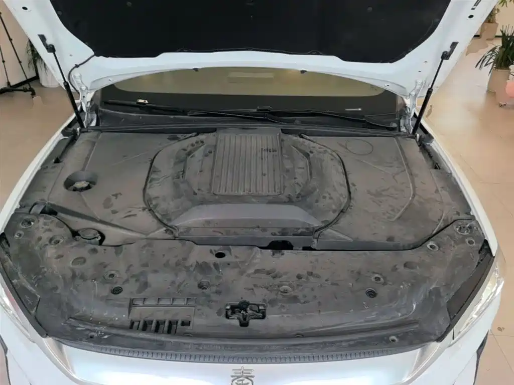 BYD Qin PLUS 2021 EV 400KM Luxury Model фото 20