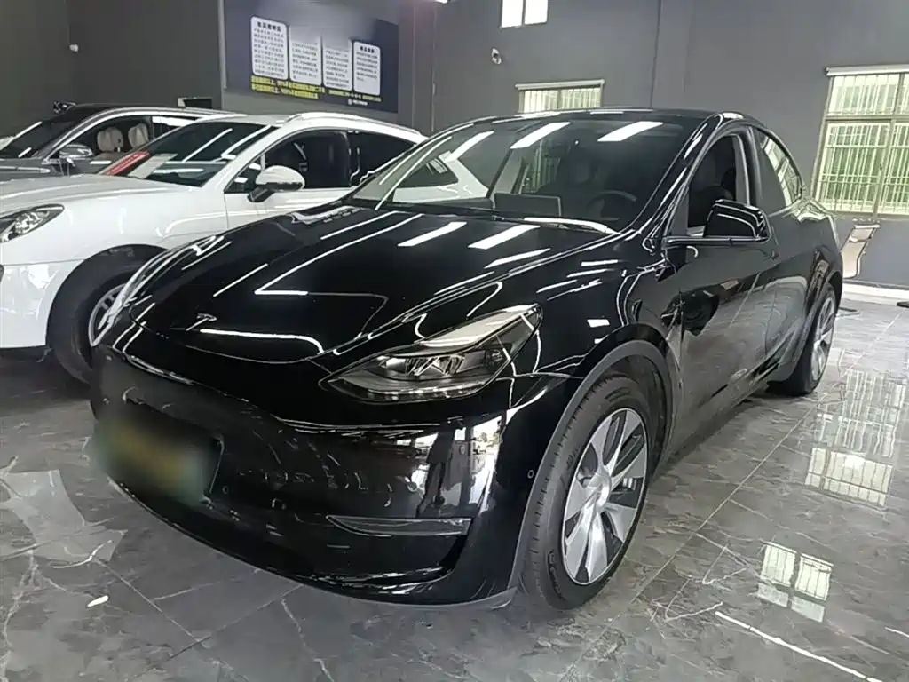 Tesla Model Y 2021 Standard Range Rear-Wheel Drive