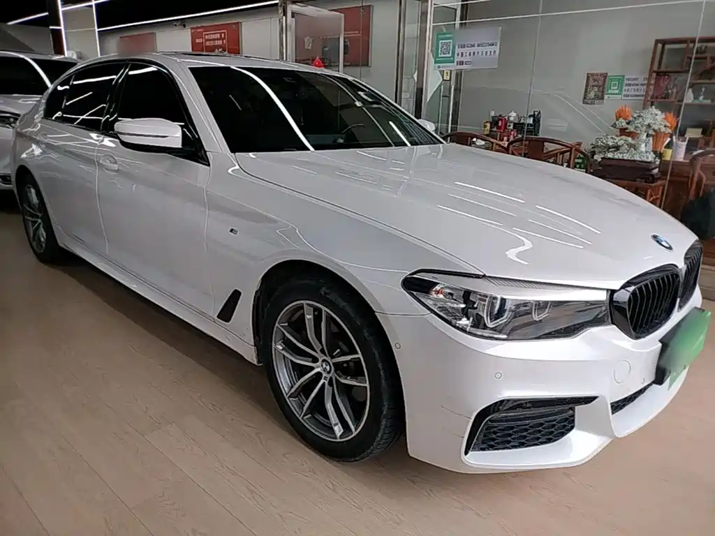 BMW 5 Series 2019 525Li M Sport Package фото 4