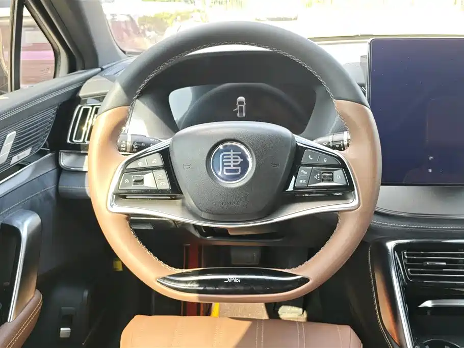 BYD Tang New Energy 2021 DM-i 112KM Honor фото 15