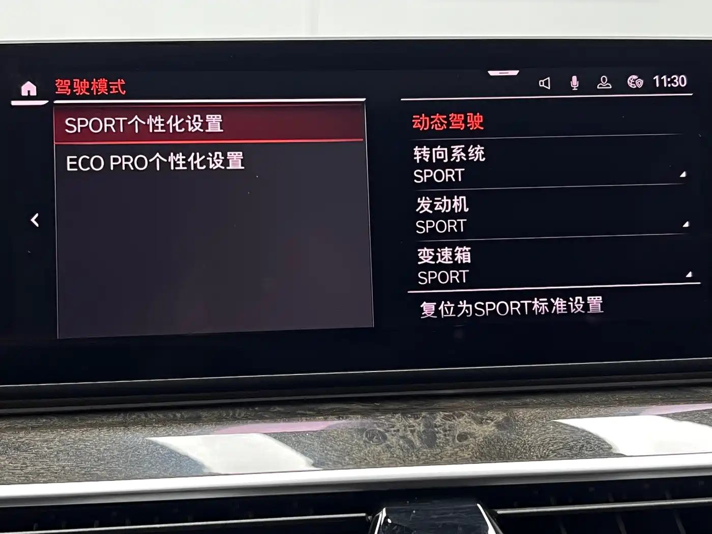 BMW 5 Series 2020 525Li M Sport Package фото 38
