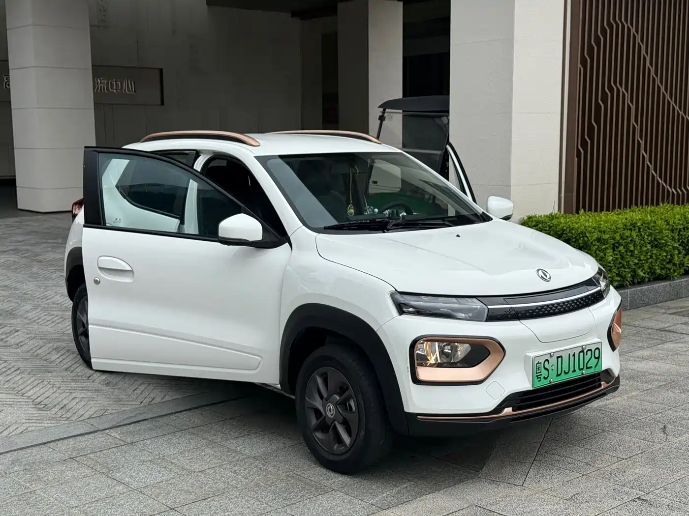 Dongfeng Yipai Nano BOX 2022 2022 Wind Chaser Edition 331KM Advanced Type
