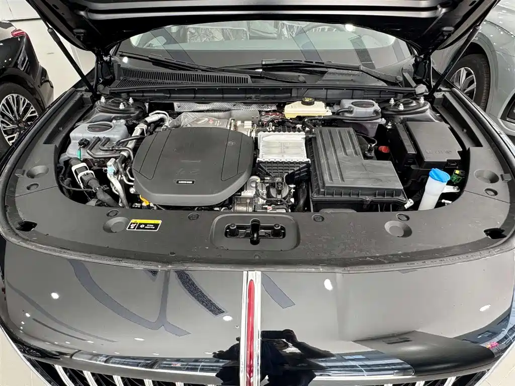 Hongqi HS7 2021 2.0T DCT FWD Smart Connect Qi Xiang Edition фото 16