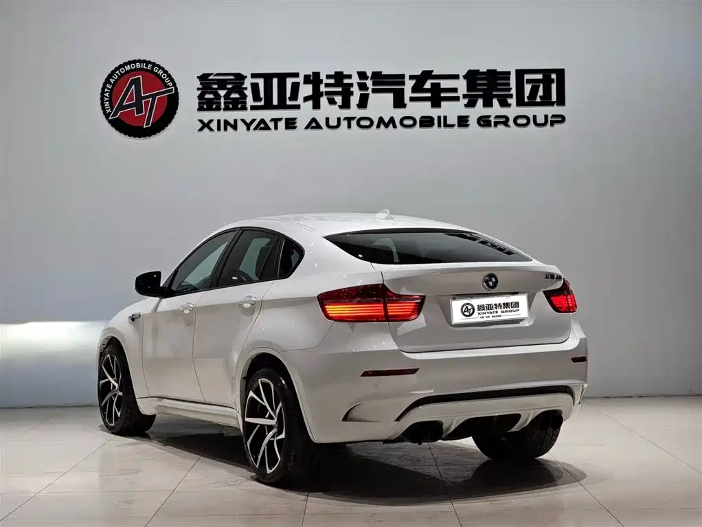 BMW X6 M 2010 X6 M фото 5