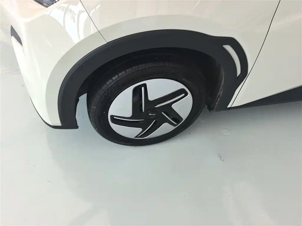 BYD Seagull 2025 305km Vitality фото 24