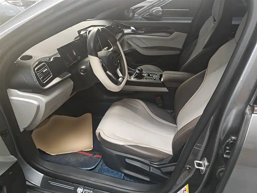 BYD Qin PLUS 2023 Champion Edition DM-i 120KM Leading Type фото 15