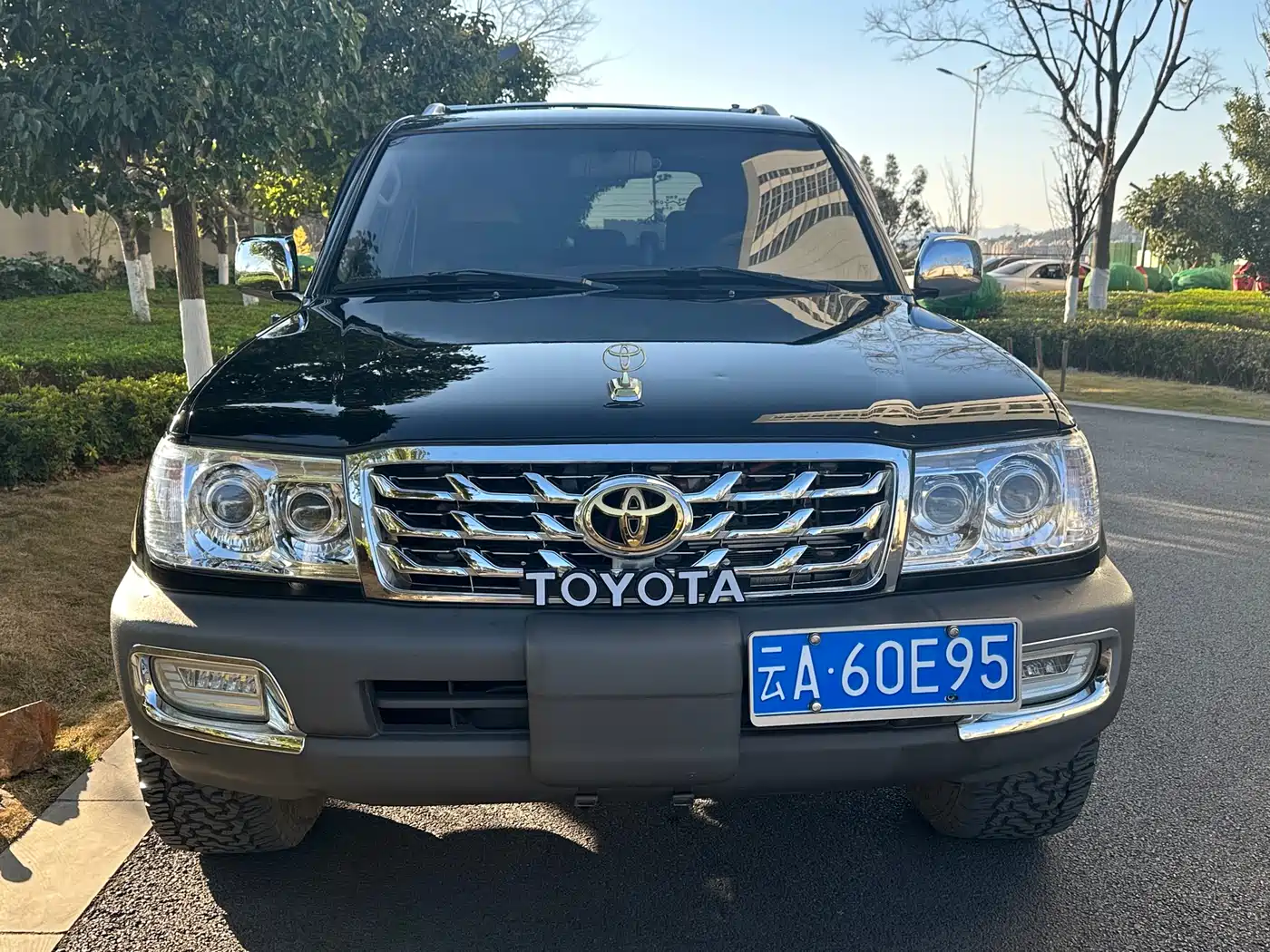 Toyota Land Cruiser (Import) фото 3