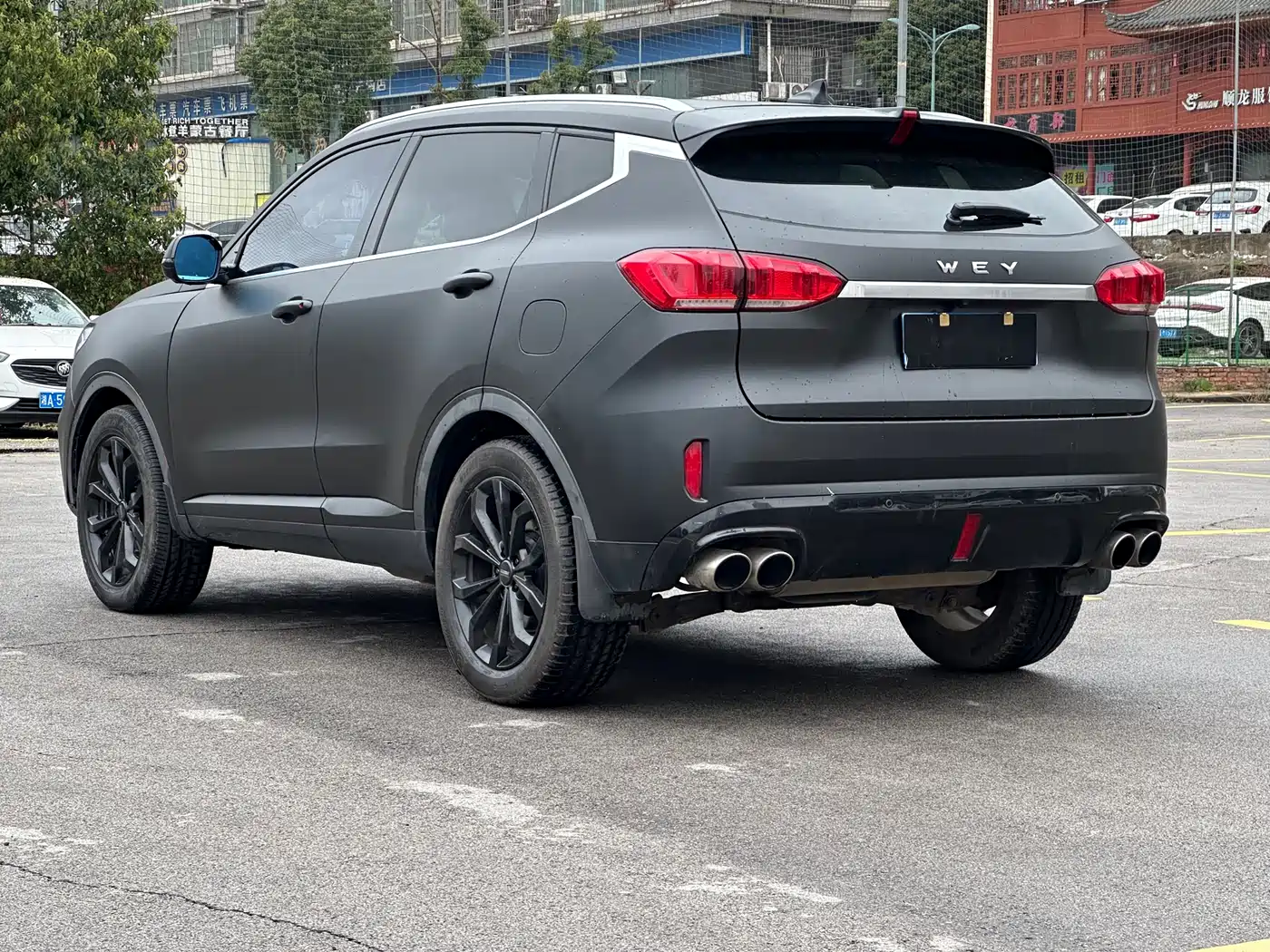 WEI PAI WEI BRAND VV6