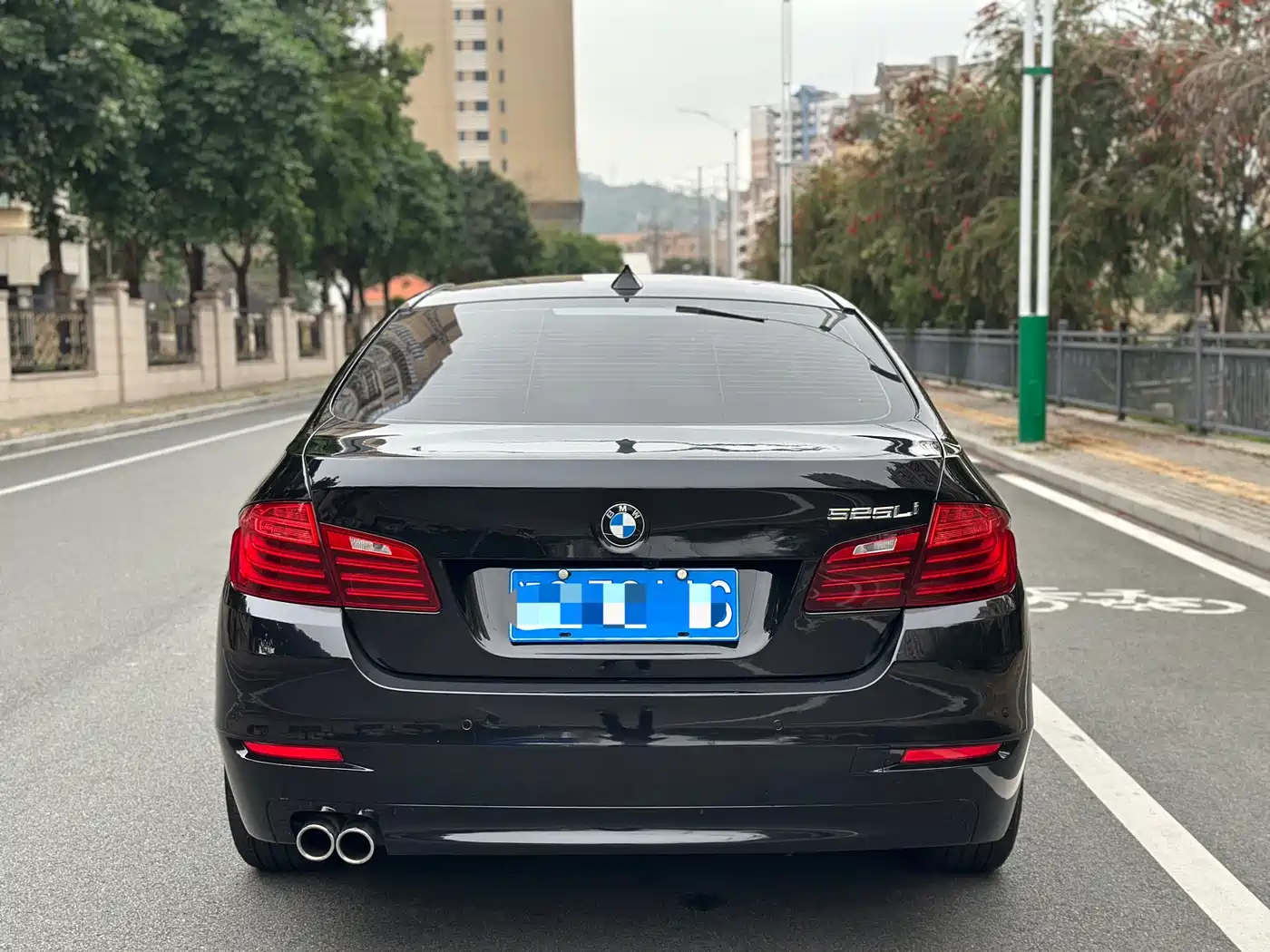 BMW 5 Series 2014 525Li Leading фото 8