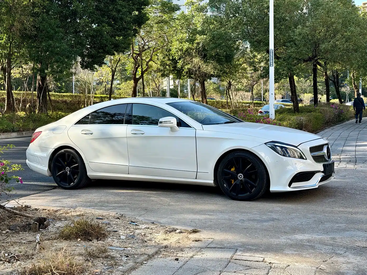 Mercedes-Benz CLS 2012 CLS 300 CGI фото 3