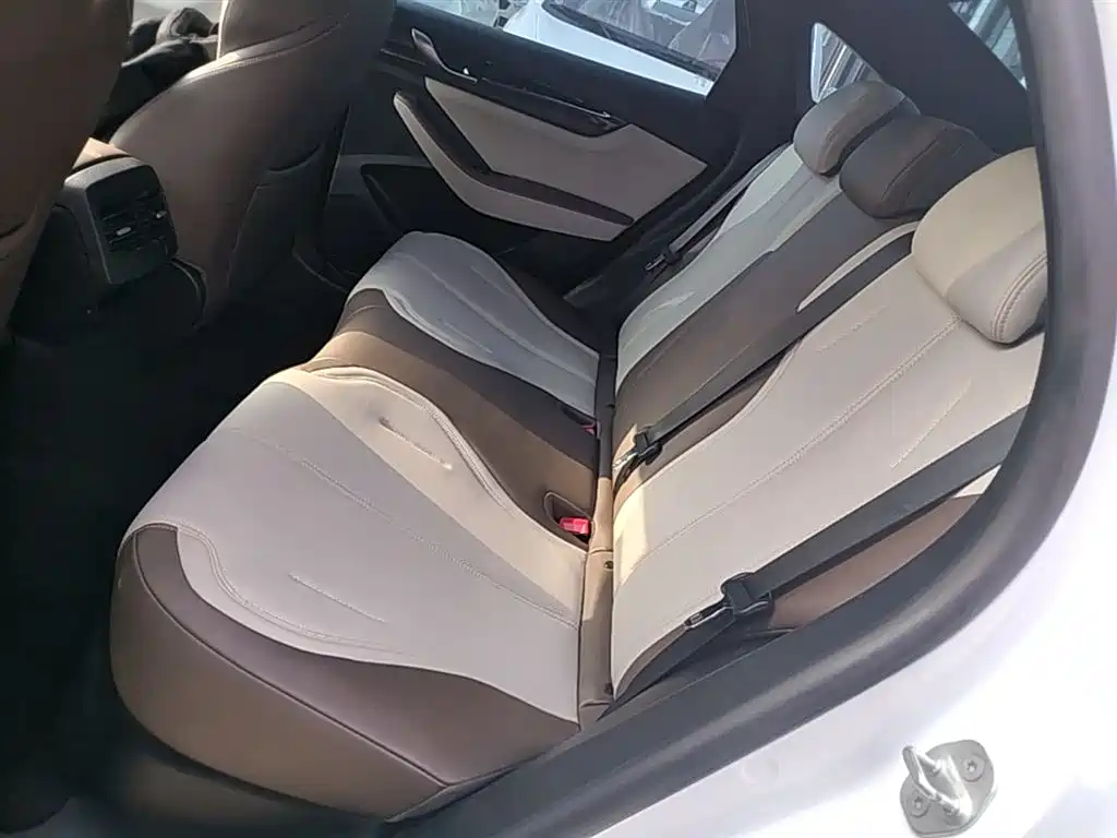 BYD Qin PLUS 2024 Glory Edition DM-i 55KM Leading фото 17