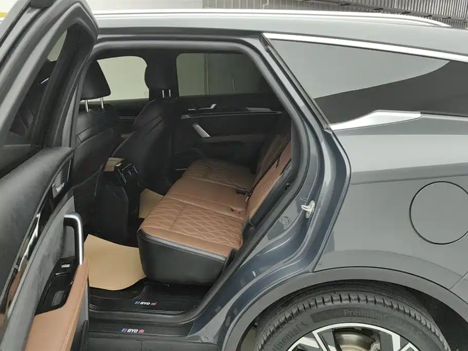 BYD Tang New Energy 2021 DM-i 112KM Premium фото 11