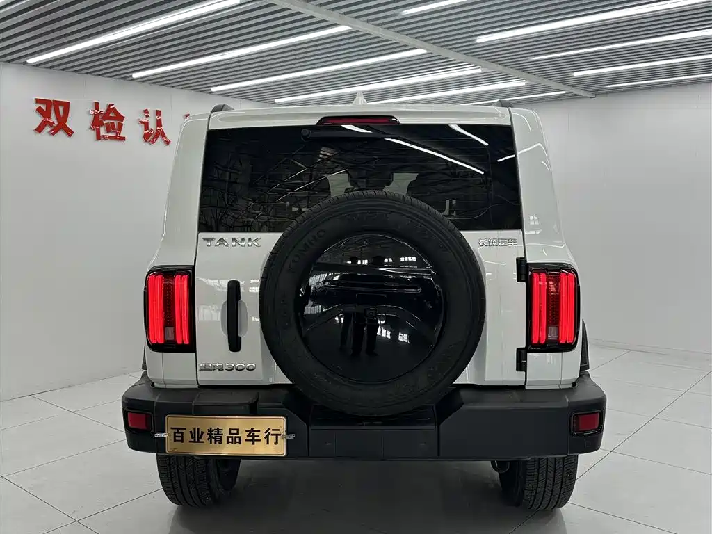 Tank 300 2023 Off-Road Edition 2.0T Conqueror фото 6