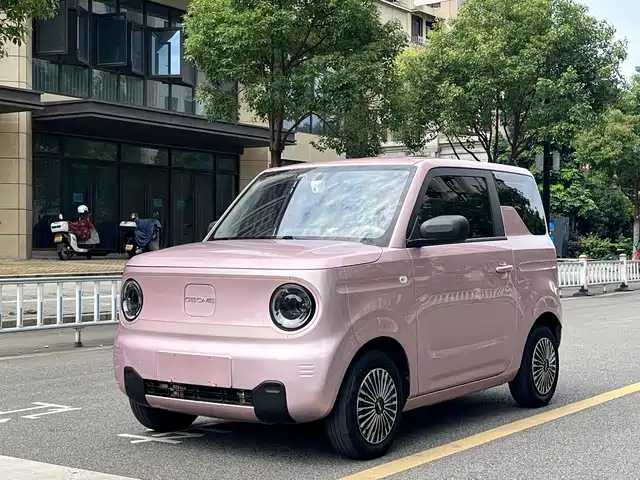Geely Galaxy Panda 2023 Panda Mini 200km Lively Bear