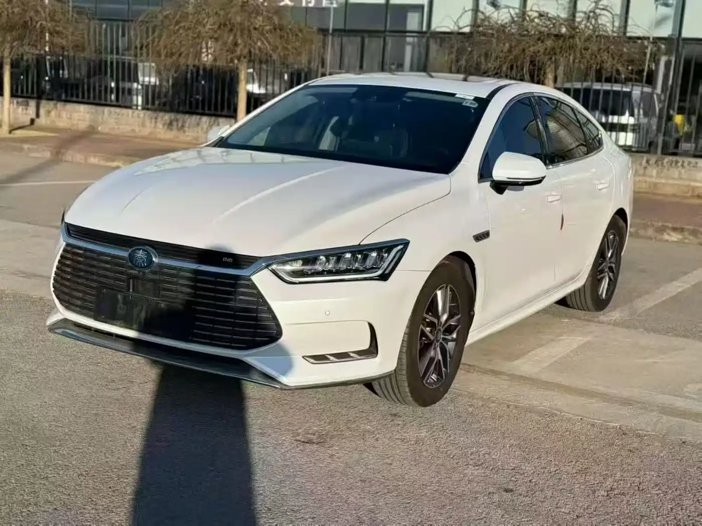 BYD QINHUANGDAO NEW ENERGY 2019