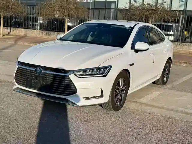 BYD QINHUANGDAO NEW ENERGY 2019