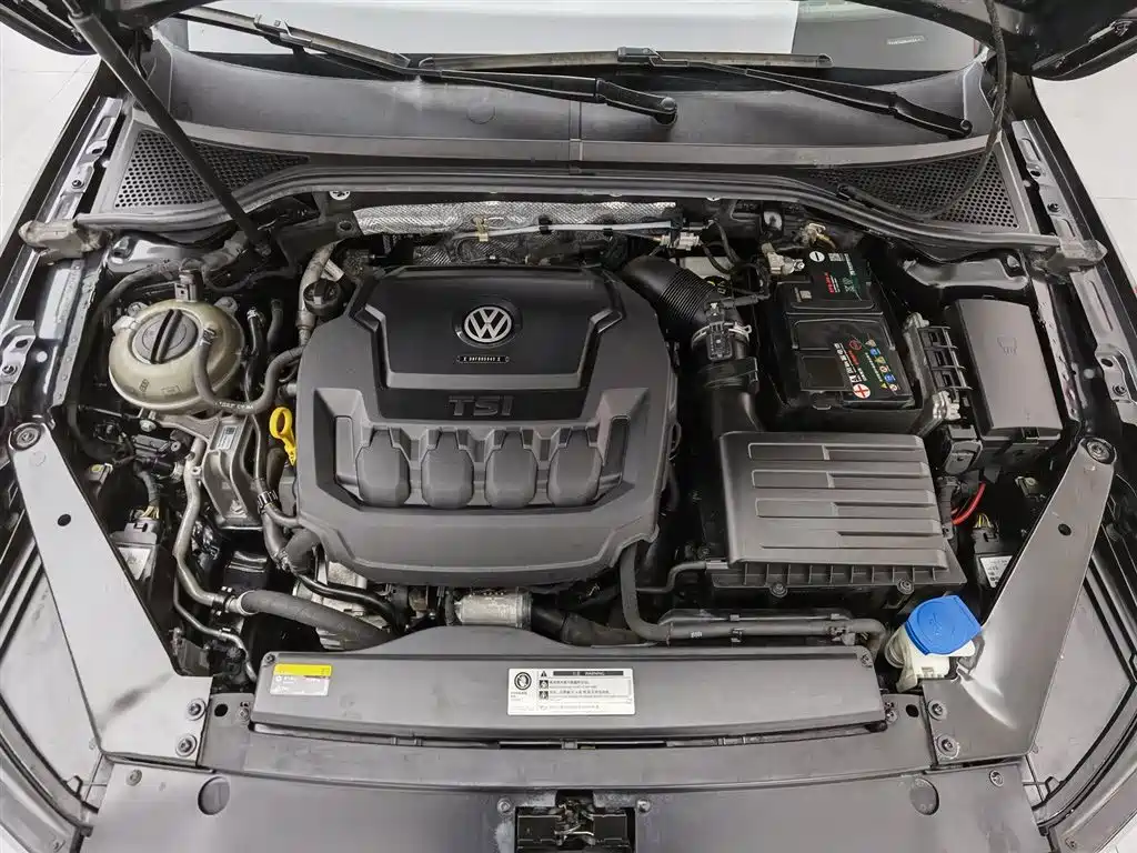Volkswagen Magotan 2019 330TSI DSG Luxury China V фото 6