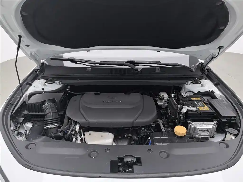 Baojun Valli 2021 1.5T Yili Ranch CVT Luxury фото 6