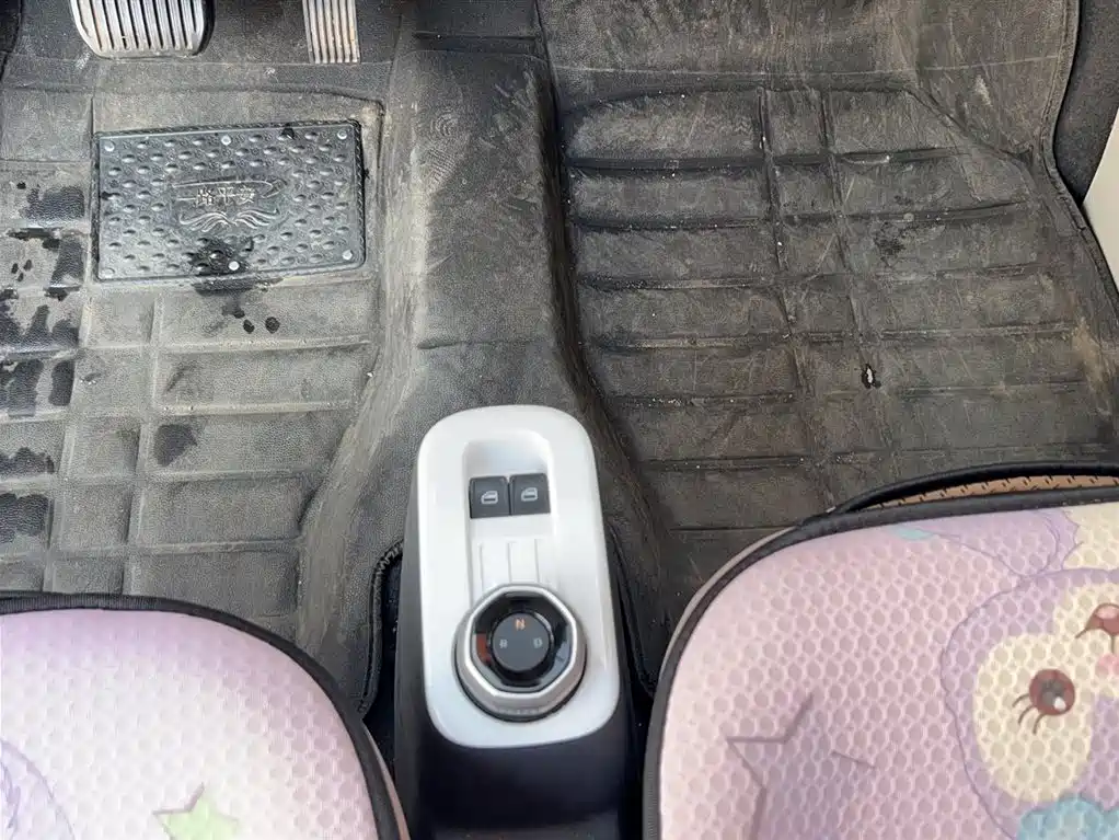 Geely Galaxy Panda 2025 Panda mini 210km Vitality Bear фото 15