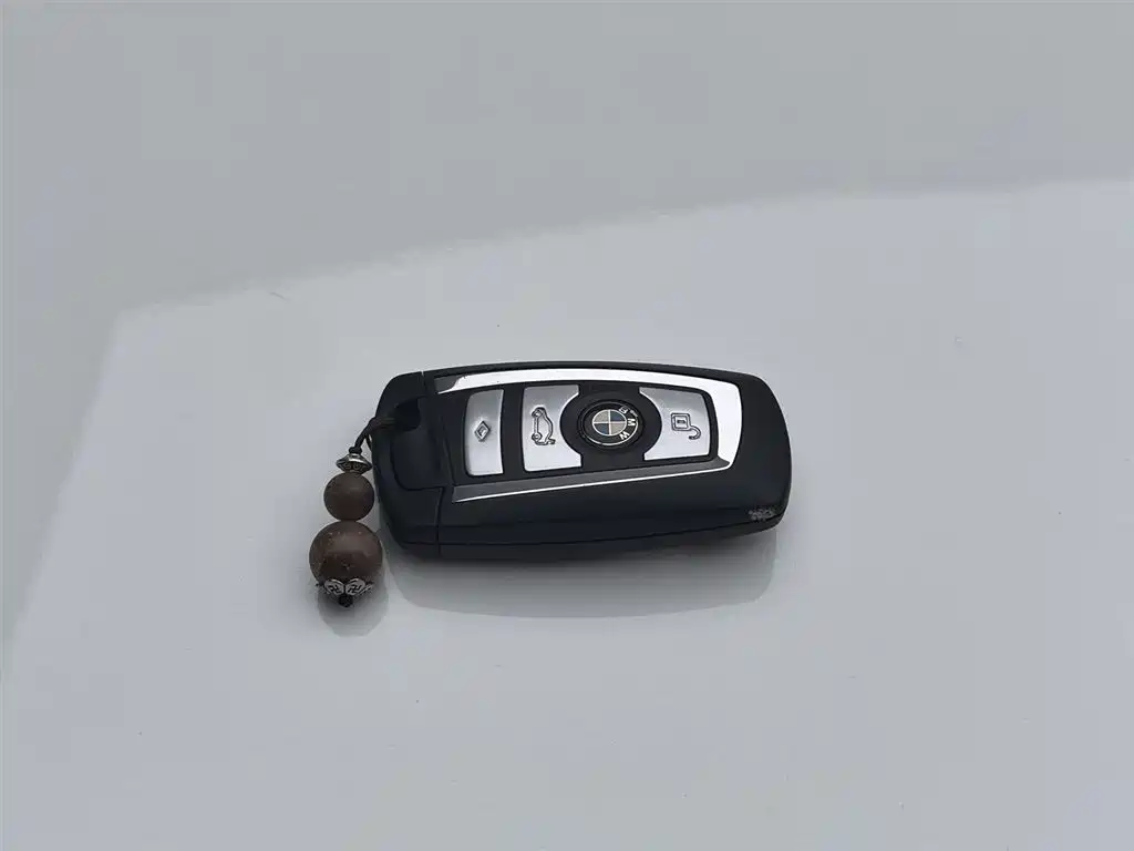 BMW 5 Series 2014 525Li Luxury Design Package фото 19