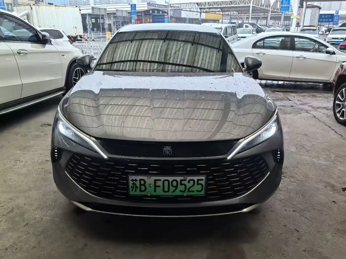 BYD QIN L