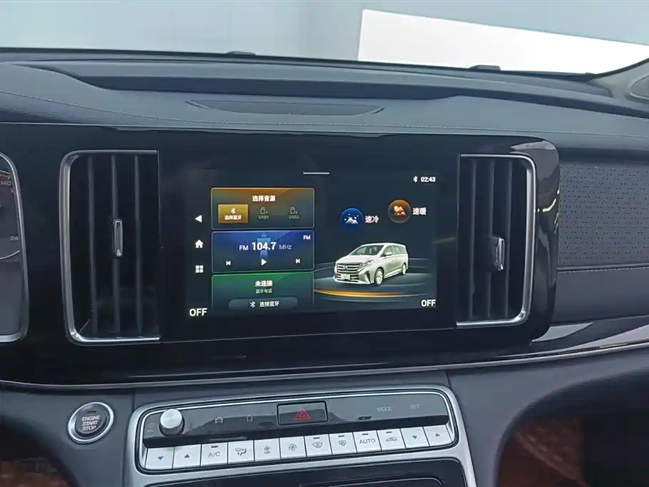 GAC Trumpchi Trumpchi M8 2021 Facelift Leading Series 390T Luxury Edition фото 13