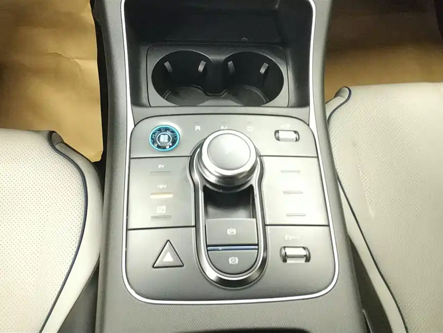 BYD Destroyer 05 2024 Glory Edition DM-i 55KM Luxury фото 16