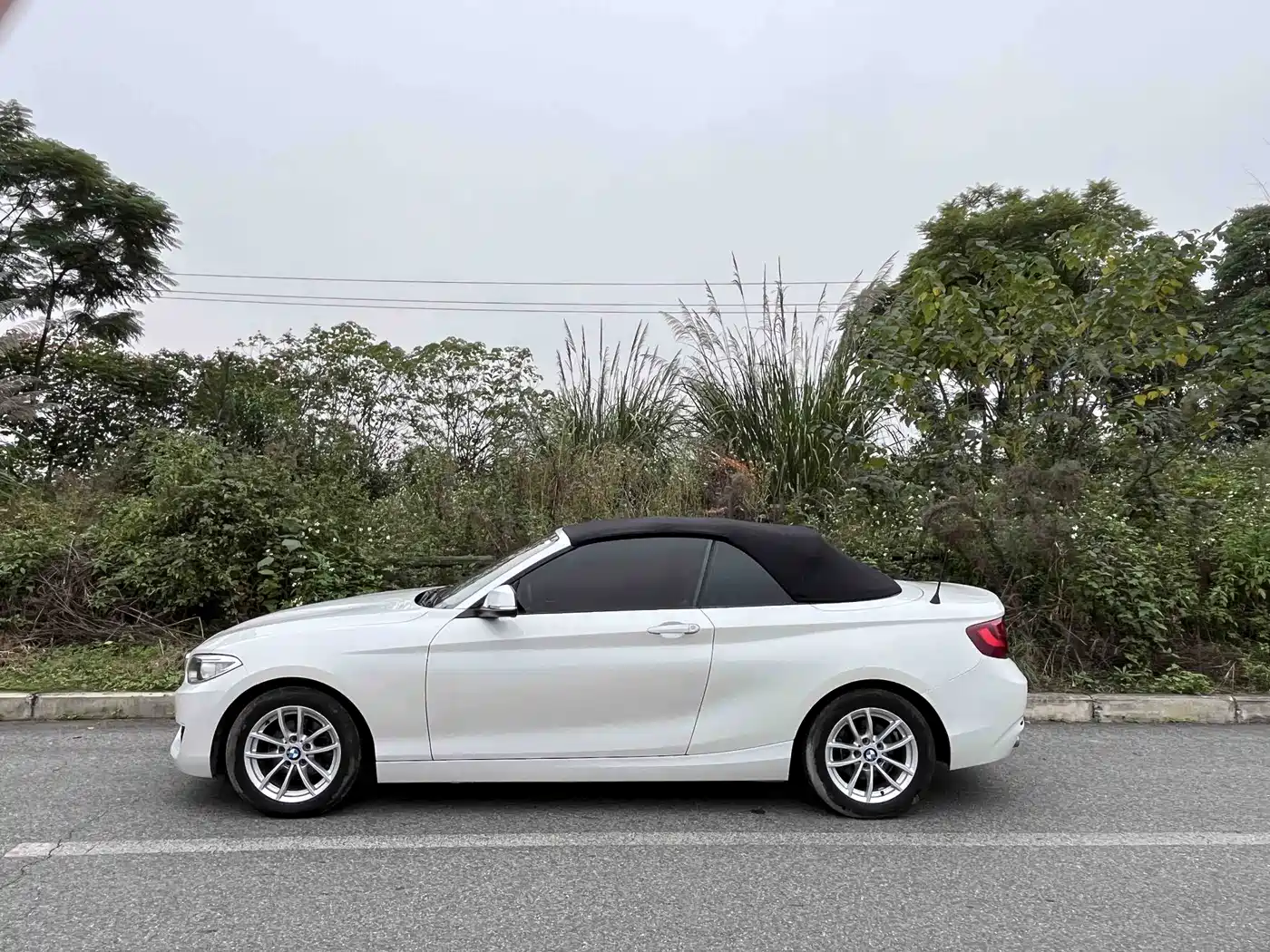 BMW 2 Series (Import) 2015 218i Convertible Coupe фото 4