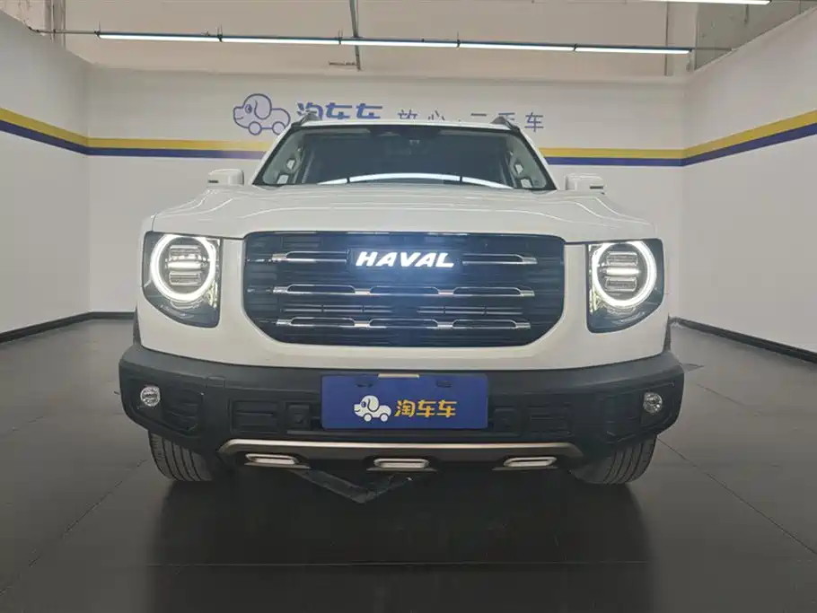 Haval Big Dog 2021 1.5T DCT 2WD Border Collie Edition фото 2