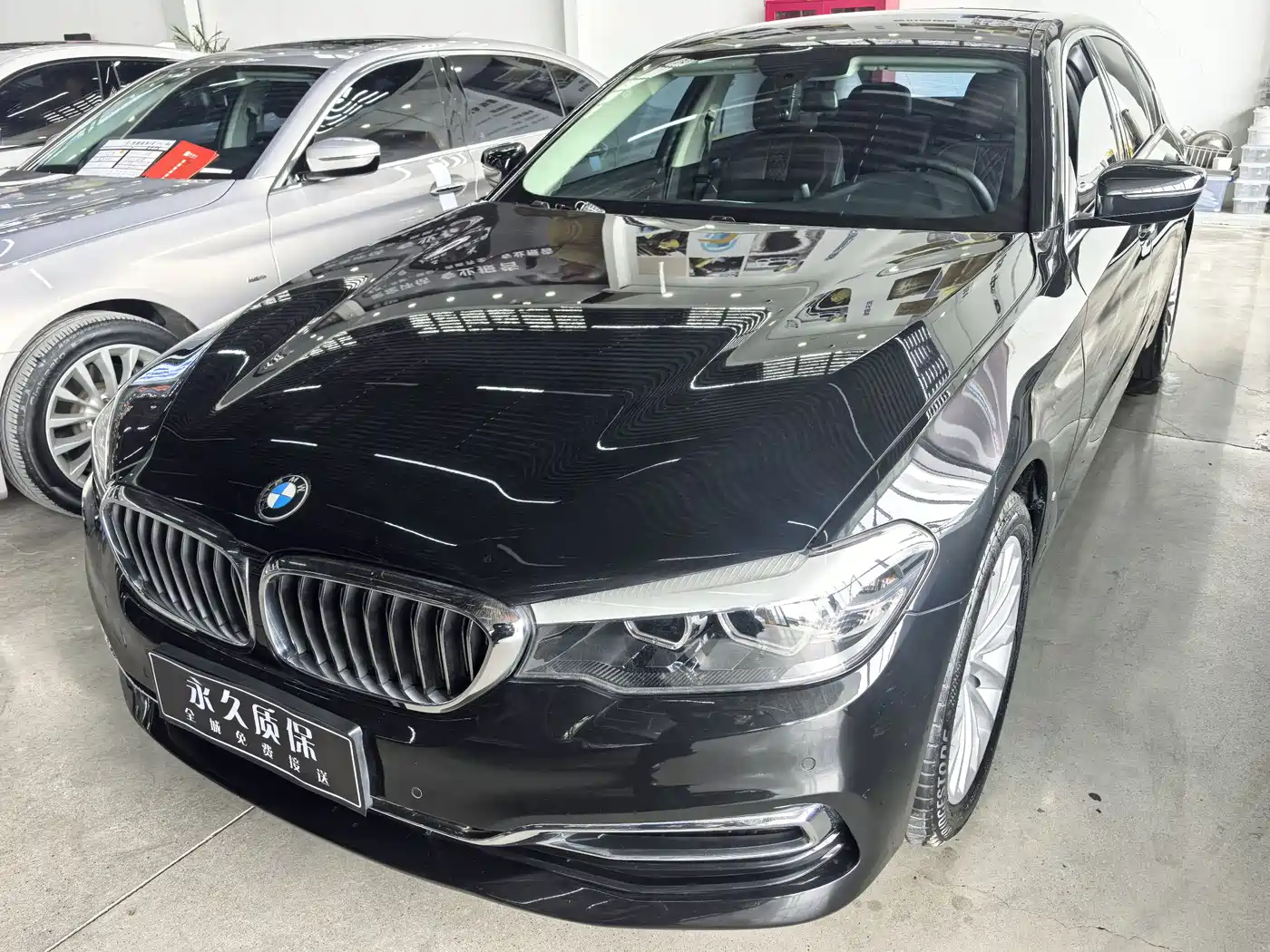 BMW 5 Series 2019 530Li Leading Luxury Package фото 7