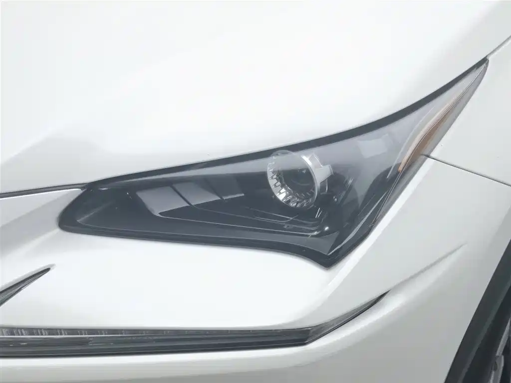 Lexus NX 2018 Model 300h FWD Fengshang Edition China V фото 7
