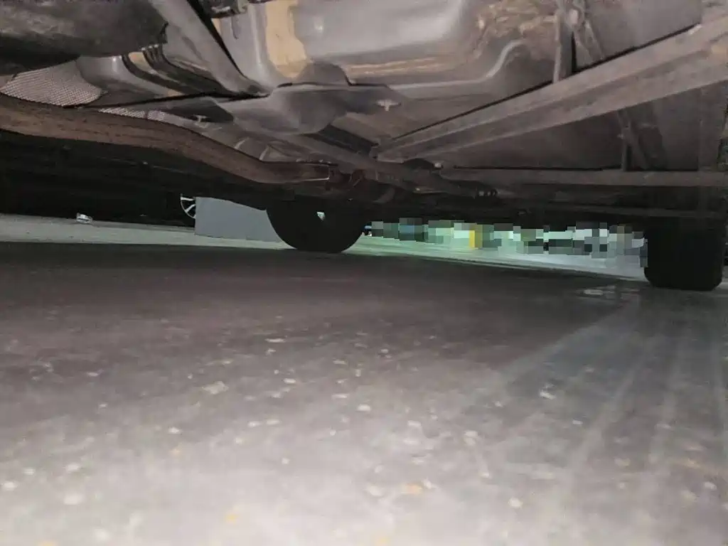 Renault Koleos 2019 2018 2.0L 2WD 120th Anniversary Limited Edition