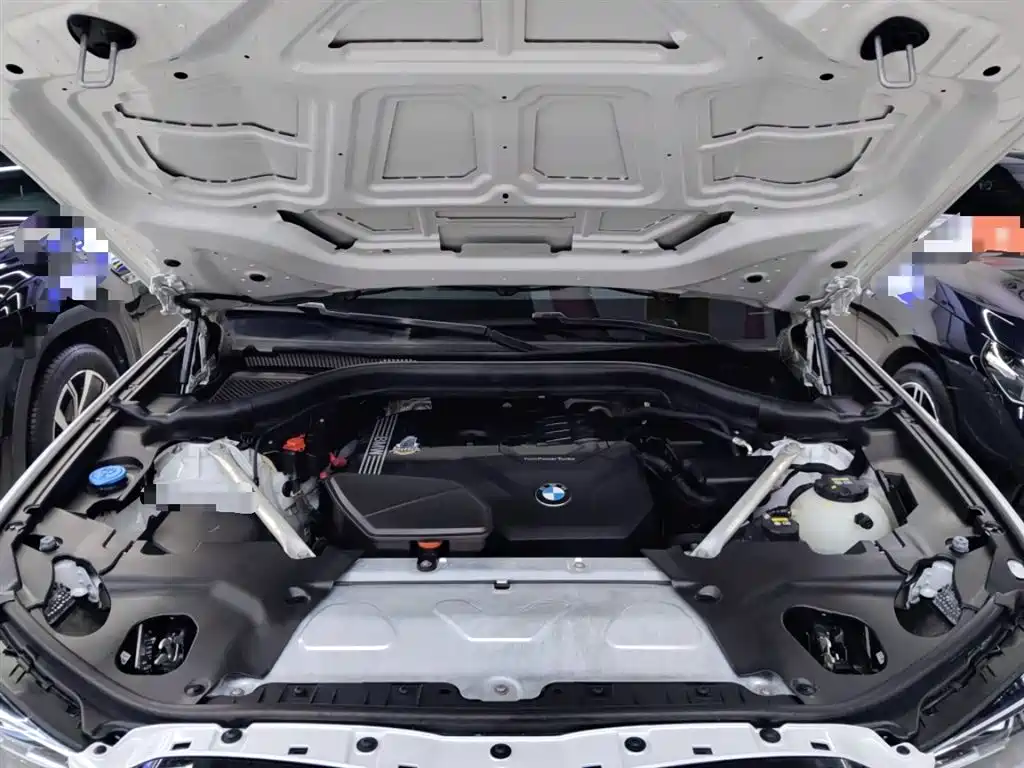 BMW X3 2022 xDrive30i Leading M Night Package фото 20