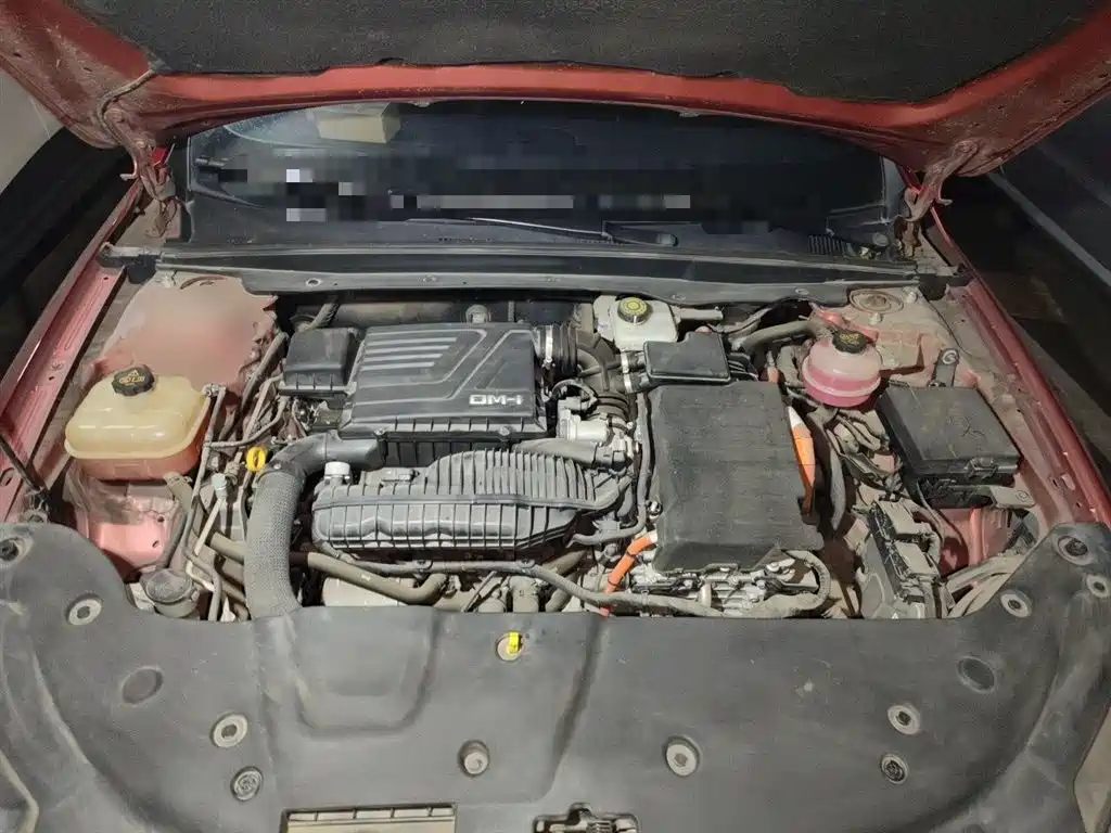 BYD Qin PLUS 2021 DM-i 55KM Flagship фото 17