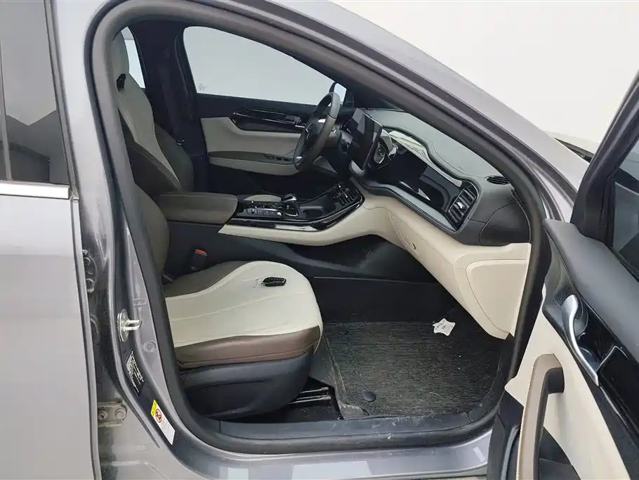 BYD Qin PLUS 2024 Glory Edition DM-i 55KM Leading фото 8