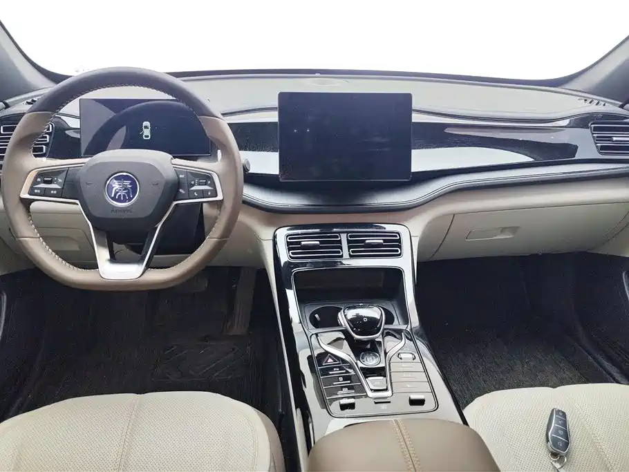 BYD Qin PLUS 2024 Glory Edition DM-i 55KM Leading фото 12