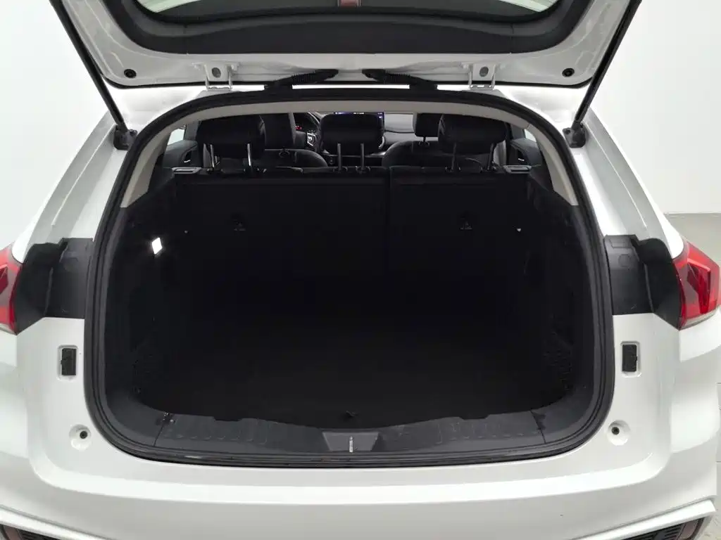 WEY VV5 2020 2020 1.5T 2WD Style Pioneer