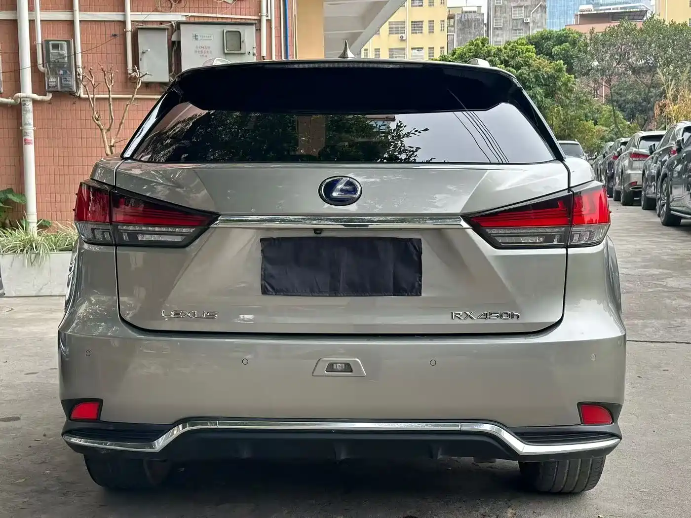 LEXUS RX