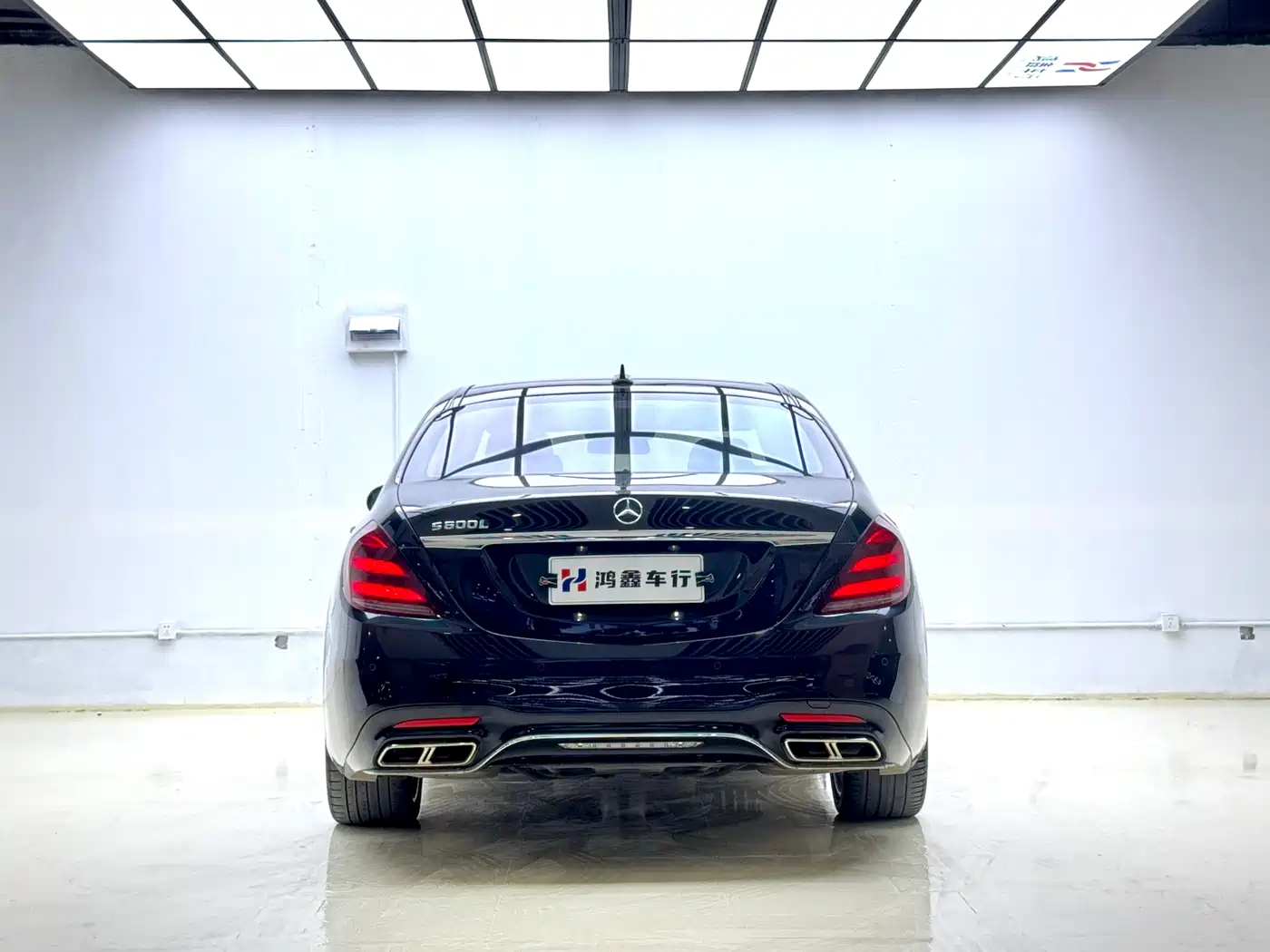 Mercedes-Benz S-Class 2014 S 600 L фото 12