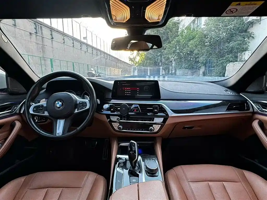 BMW 5 Series 2019 530Li Leading M Sport Package фото 6
