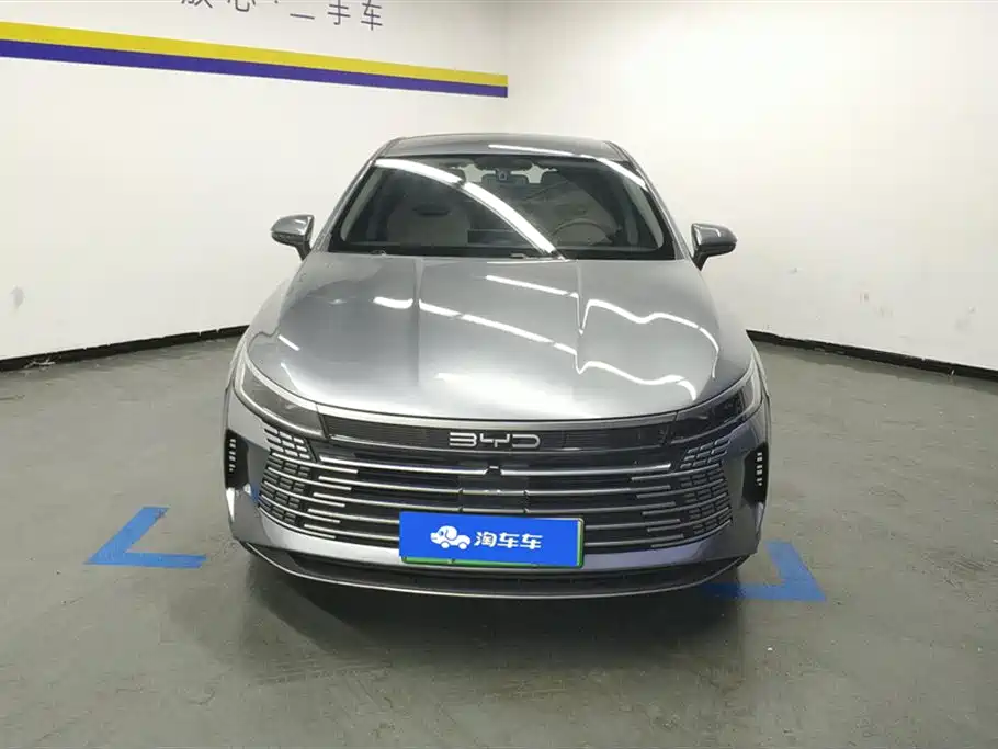 BYD Destroyer 05 2024 Glory Edition DM-i 55KM Luxury фото 2