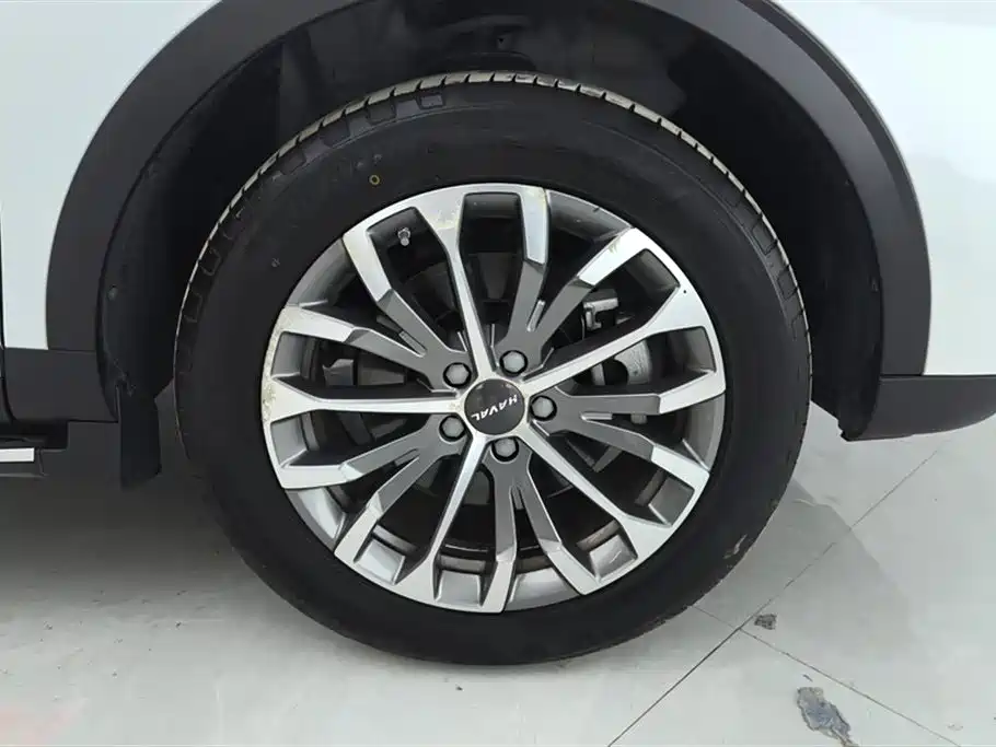Haval H6 2020 1.5GDIT Automatic Platinum Champion Edition фото 6